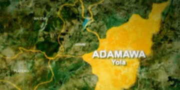 Adamawa Suspect Arrested in Connection with Child Murder