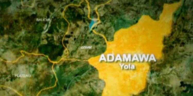 Adamawa Suspect Arrested in Connection with Child Murder