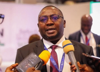 Nigeria Advancing Towards Sustainable and Reliable Power Supply - Adelabu