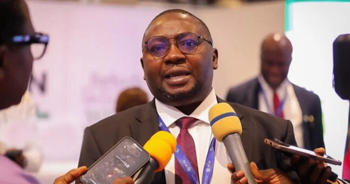 Nigeria Advancing Towards Sustainable and Reliable Power Supply - Adelabu