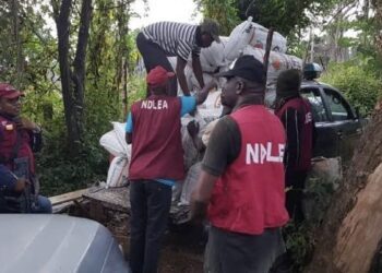NDLEA Seizes N1.1 Billion Codeine Shipment in Rivers, Arrests Suspect at Lagos Airport