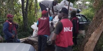 NDLEA Seizes N1.1 Billion Codeine Shipment in Rivers, Arrests Suspect at Lagos Airport