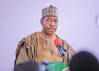Building Borno's Future: The Zulum Legacy and Its Impact on the Youth