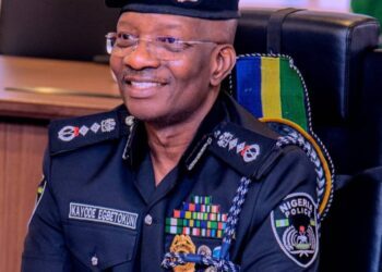 Egbetokun: Securing Nigeria, Sheltering NPF