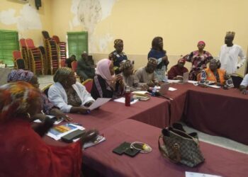 Kaduna, SFH Launch Integrated RMNCAH+N Flipchart To Improve Healthcare Access