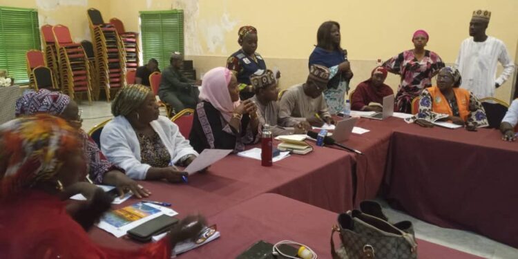 Kaduna, SFH Launch Integrated RMNCAH+N Flipchart To Improve Healthcare Access