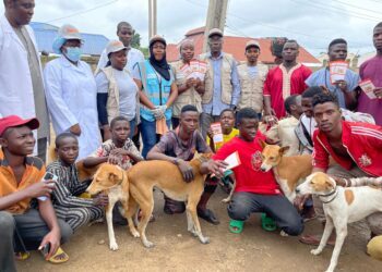 2,000 Nigerians Die Annually From Rabies, Says Veterinarian