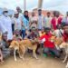2,000 Nigerians Die Annually From Rabies, Says Veterinarian