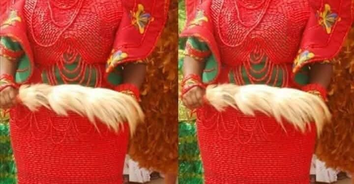 Ogwashi-Uku Set For Colourful 14th Dance Carnival This Christmas