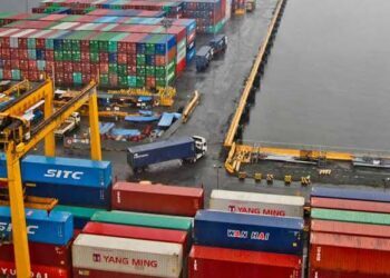 48-Hour Cargo Clearance: Customs Unveils New "One-Stop" Hub