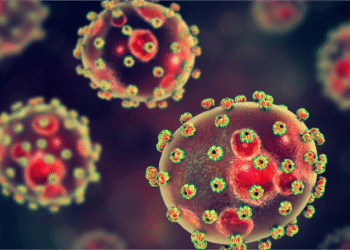 Surge in Lassa Fever Cases in Nigeria: 162 Fatalities Reported in August