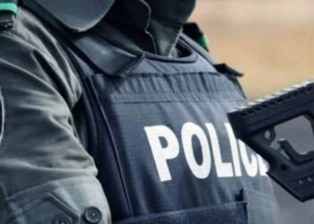 Nasarawa: Nine Arrested, 38 Firearms and Over 4,200 Rounds of Ammunition Seized by Police