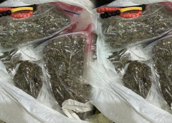 NCoS Prevents Drug Smuggling Attempt at Kuje Prison