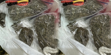 NCoS Prevents Drug Smuggling Attempt at Kuje Prison