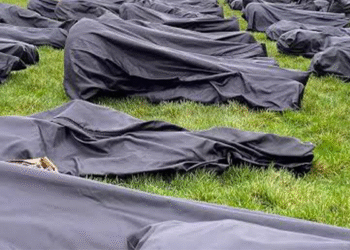 Construction Accidents Kill 150 in Nigeria – NSITF