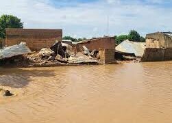 Three Dead, 1,415 Homes Hit By Adamawa Floods — NEMA
