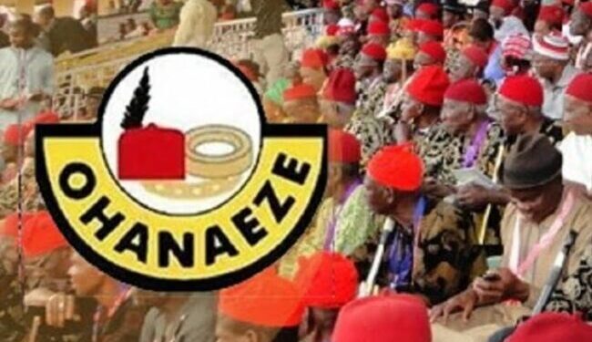 For 2027, Ohanaeze Pledges Support Only for Credible Candidates