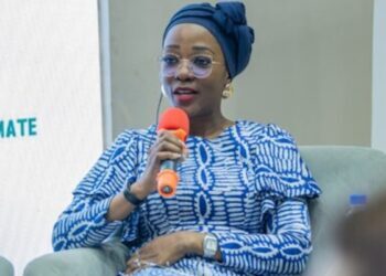 Nigeria Aims for $25 Billion in Climate Finance by 2030