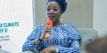 Nigeria Aims for $25 Billion in Climate Finance by 2030