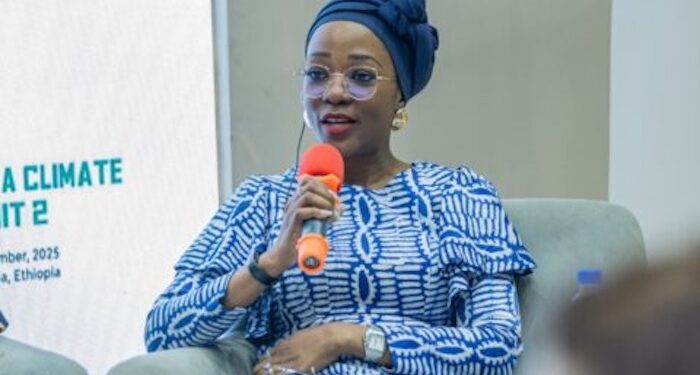 Nigeria Aims for $25 Billion in Climate Finance by 2030