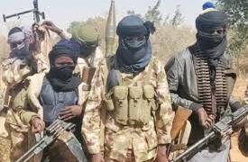 Gunmen Attack Kaduna Community, Kidnap 10 Residents