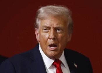 Trump’s Tariffs Hit Timber, Furniture