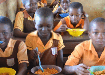 Kano State Collaborates with FG to Enhance Education through School Feeding Initiative