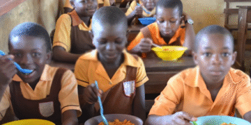 Kano State Collaborates with FG to Enhance Education through School Feeding Initiative