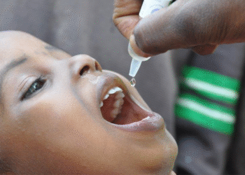 Zamfara Govt Reaffirms Commitment to Polio Eradication