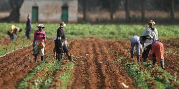 FG Distributes Free Inputs To Taraba Farmers