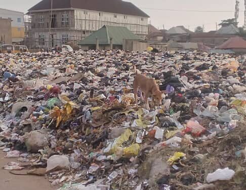 The Menace of Waste Management in FCT