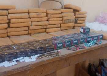 NDLEA Arrests 230 Suspects, Seizes Illicit Drugs, Weapons in Kano