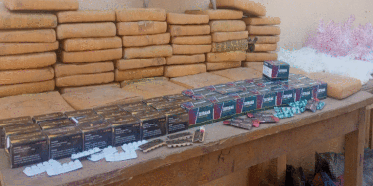 NDLEA Arrests 230 Suspects, Seizes Illicit Drugs, Weapons in Kano