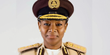 Immigration Denies Entry to 332 Migrants at Seme Border for Lack of Valid Travel Documents, Says CG