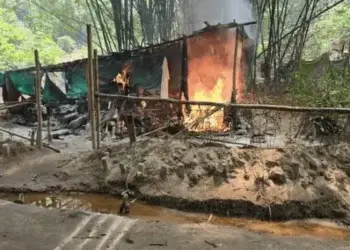 Monarch Among 1,800 Killed in South-East Over Two Years — Amnesty International