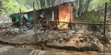 Monarch Among 1,800 Killed in South-East Over Two Years — Amnesty International