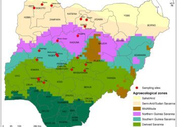 Nigeria Drifting Into Danger, needs Visionary Leadership For National Rebirth -UNYF
