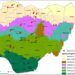 Nigeria Drifting Into Danger, needs Visionary Leadership For National Rebirth -UNYF