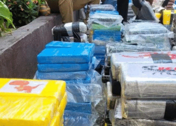 NDLEA, Foreign Agencies Probe Cartel Behind 1,000kg Cocaine Bust