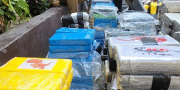 NDLEA, Foreign Agencies Probe Cartel Behind 1,000kg Cocaine Bust