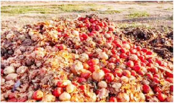 Post-harvest Losses in Kano Dropped by 51% – Official