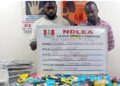 NDLEA Uncovers Drugs Packaged As Christmas Cookies, Arrests Suspects