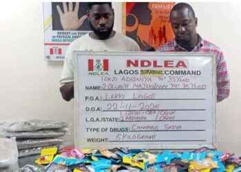 NDLEA Uncovers Drugs Packaged As Christmas Cookies, Arrests Suspects