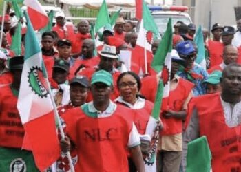NLC Plans Nationwide Protest December 17 Over Rising Insecurity