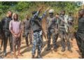 Security Operatives Rescue Seven Kidnap Victims In Kaduna Forest