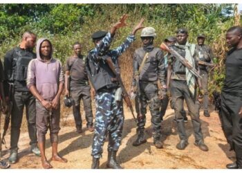 Security Operatives Rescue Seven Kidnap Victims In Kaduna Forest