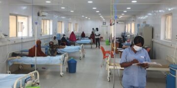 Strikes: No Major Disruptions in Health Sector Over Two Years, Says FG