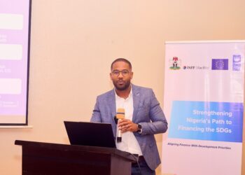 SDGs: Nigeria Moves to Fix Development Financing Gaps through INFF