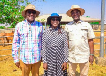 FG pushes ranching drive, prioritises feed security, genetic improvement in Nasarawa