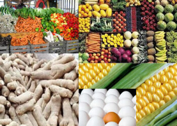 Kogi’s Community Gears Up For Transformative Agricultural Show To Boost Food Security